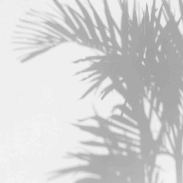 Palm Shadow behang-behang-Les Dominotiers-Grey-Non Woven 70 cm-M2-Selected Wallpapers & Interiors