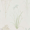 Farne Grasses wallpaper in Cream/Sage van Sanderson