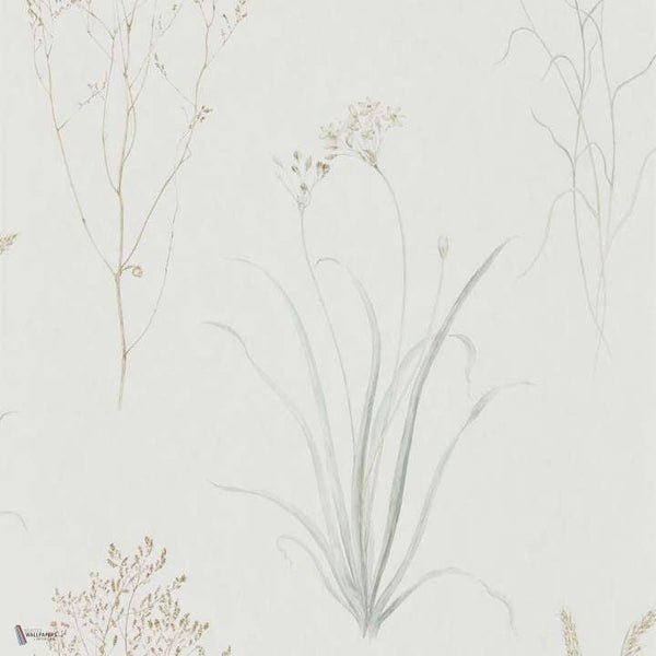 Farne Grasses wallpaper in Silver/Ivory van Sanderson