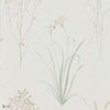 Farne Grasses wallpaper in Willow/Pebble van Sanderson