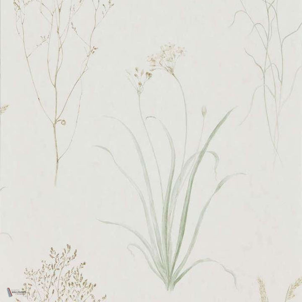 Farne Grasses wallpaper in Willow/Pebble van Sanderson