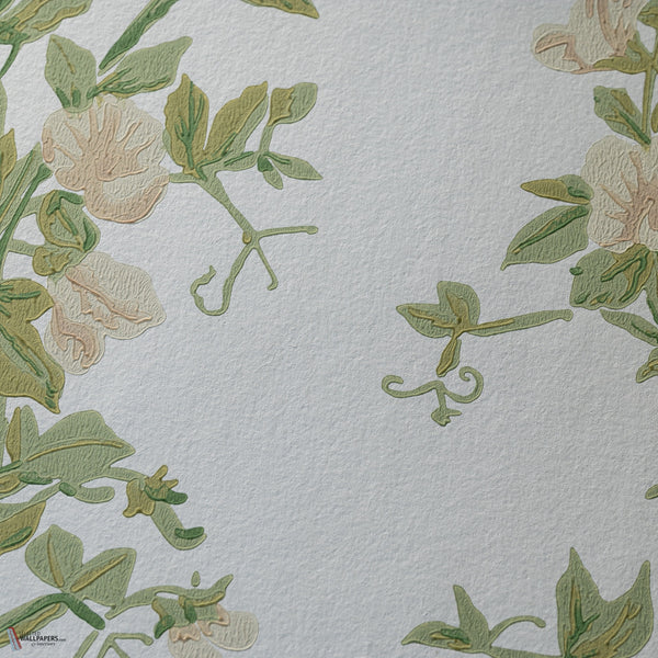 Sweet Pea Tapete von Farrow & Ball — Detail 6701