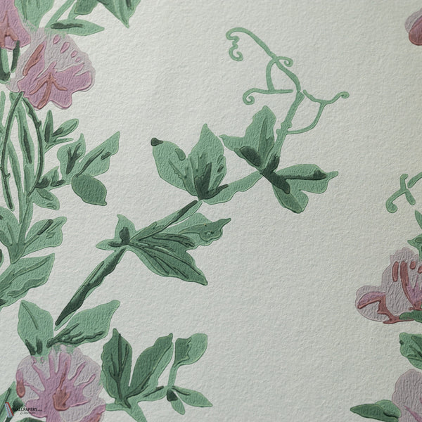 Sweet Pea Tapete von Farrow & Ball — Detail 6703