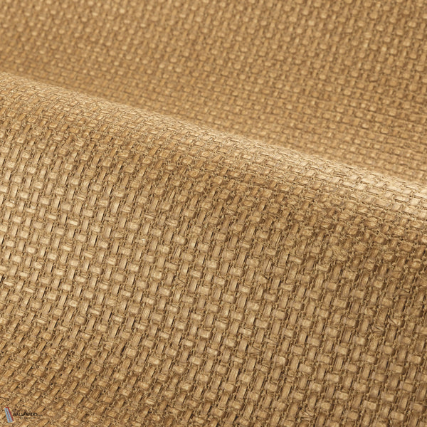 Fibrosa Tapete in Ambre von Casamance