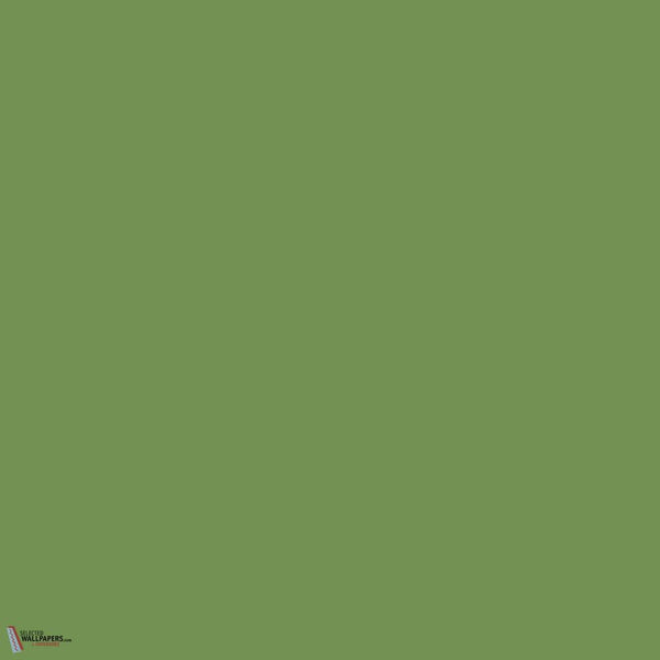 Garden paint Little Greene 86-Selected-Wallpapers-Interiors