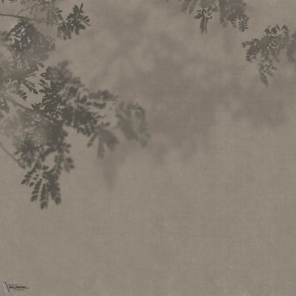 Curiosity wallpaper in GLX671B by Glamora