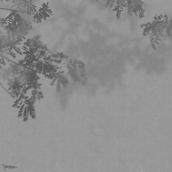 Curiosity wallpaper in GLX672B by Glamora