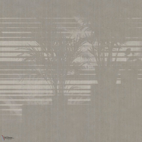 Morning Light papel pintado en GLPU81A de Glamora