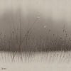 Velata wallpaper in GLVES281A by Glamora