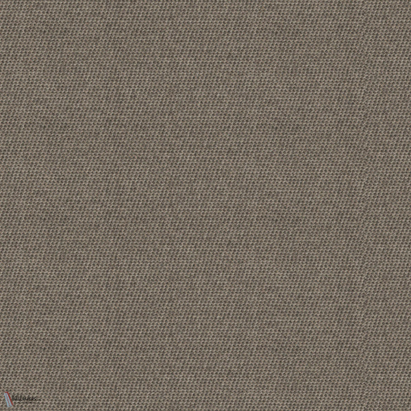 Oatmeal Coffee papel pintado en Charcoal Brown de Greenland