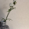 Sienna Linen papel pintado de Greenland — interior