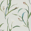 Saona wallpaper in Forest/Terracotta by Harlequin