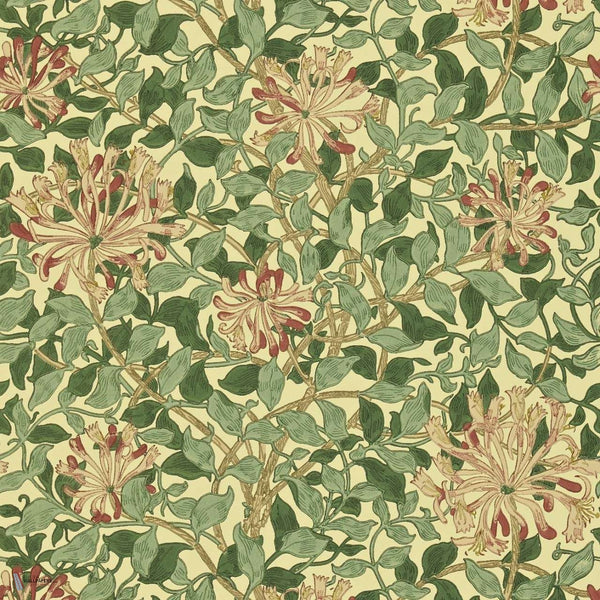Honeysuckle wallpaper in Green/Coral/Pink van Morris & Co