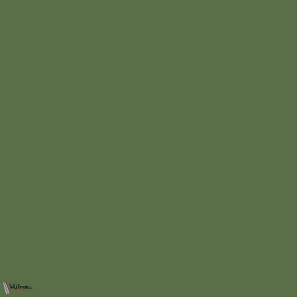 Hopper Farbe Little Greene 297-Selected-Wallpapers-Interiors