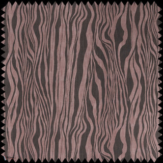 Dazzle Cotton Cosmos