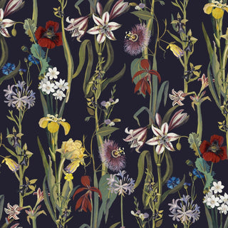 Flora Delanica Midnight