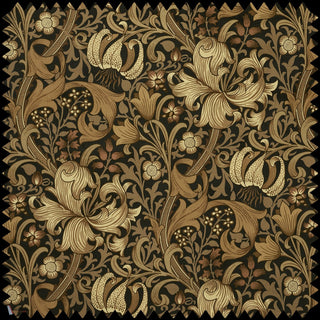 Golden Lily Black