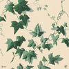 Hedera behang in Viridian van House of Hackney