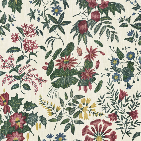 Loddiges Tapete in Achillea von House of Hackney