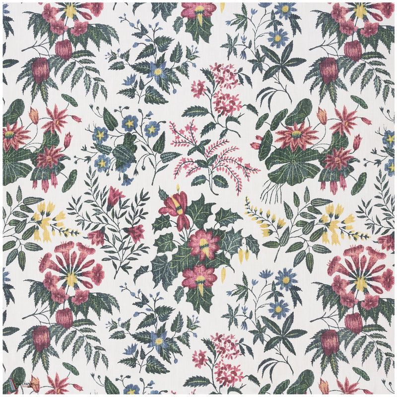 Loddiges Cotton tessuto in Achillea di House of Hackney