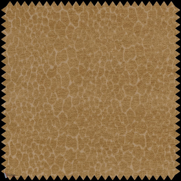 Mara Jacquard fabric in - Flax by House of Hackney
