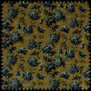 Opia Bronze