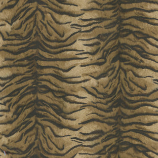 Caspian Umber