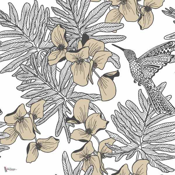 Hummingbird Tapete in Jet van 1838 wallcoverings