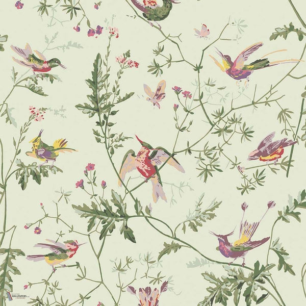Hummingbirds wallpaper in Multi Old Olive van Cole & Son