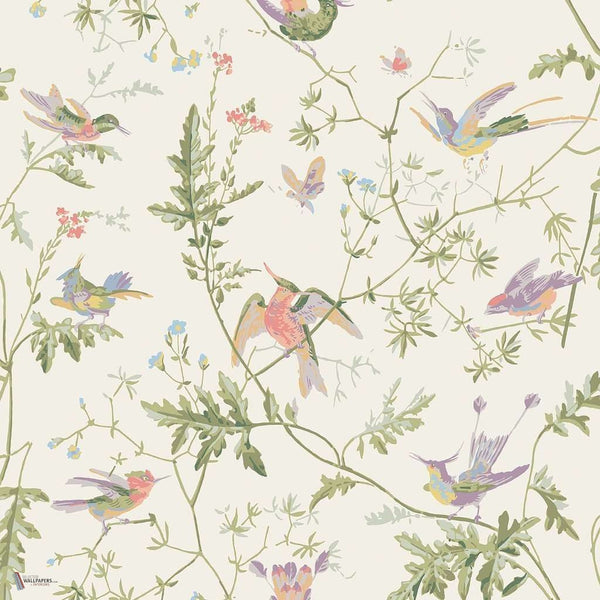 Hummingbirds wallpaper in Soft Multi van Cole & Son