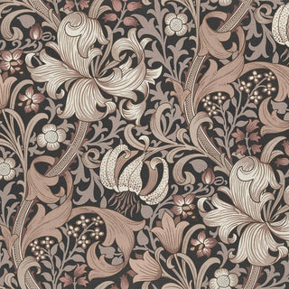 Golden Lily Black
