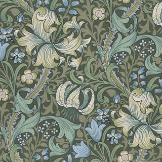 Golden Lily Verde