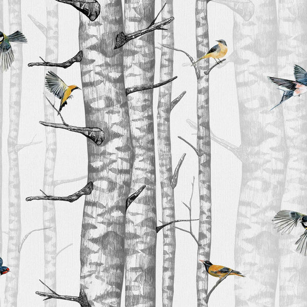 Papier peint Birch Trees Coordonné