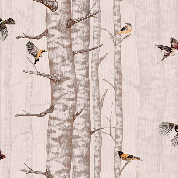 Papier peint Birch Trees Coordonné