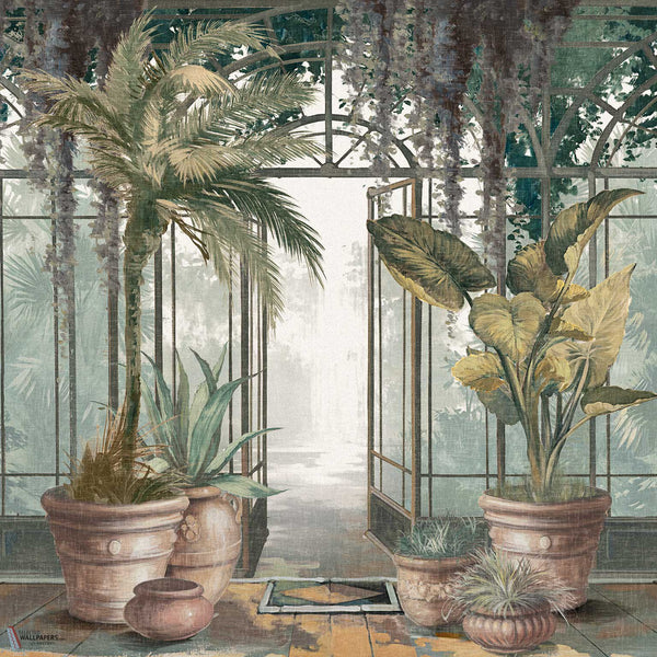 Greenhouse wallpaper by Inkiostro Bianco