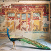 Oplontis' Peacock wallpaper by Inkiostro Bianco