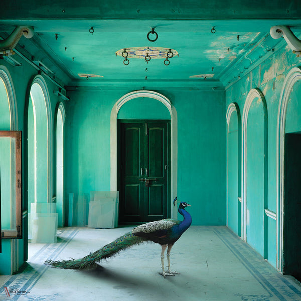 The Queen Room 2 wallpaper by Inkiostro Bianco