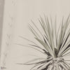 Maguey Tapete von INSTABILELAB