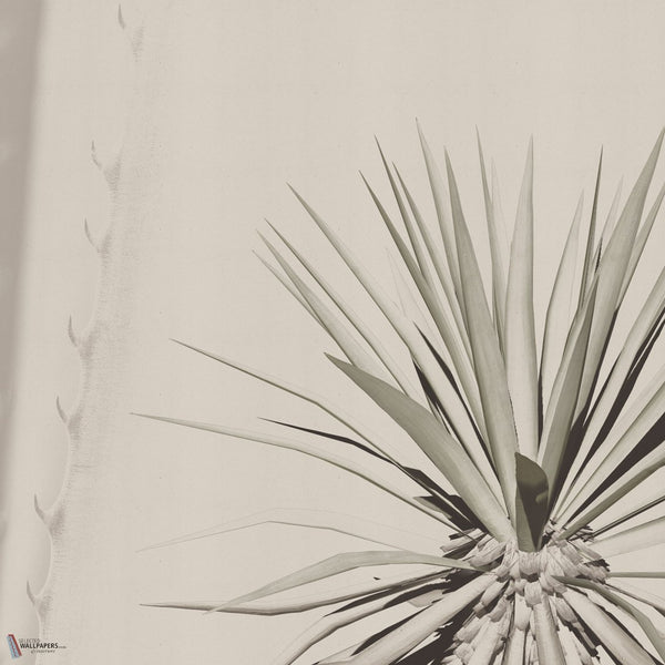 Maguey Tapete von INSTABILELAB