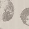Mycelia Tapete von INSTABILELAB