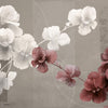 Natsume wallpaper by INSTABILELAB