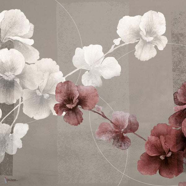 Natsume wallpaper by INSTABILELAB