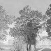 Italian Promenade wallpaper by Iksel — Grey Tones, detail