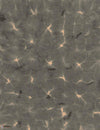 Kanoko wallpaper-Coordonne-Ash-Non Woven-Roll-Selected Wallpapers-Interiors
