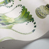 Khulu Vases behang van Cole & Son