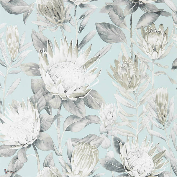 King Protea wallpaper in Aqua/Linen van Sanderson