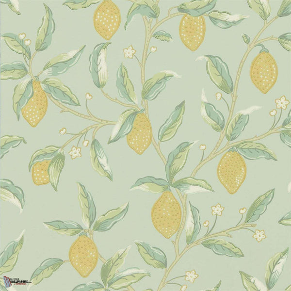 Lemon Tree wallpaper in Sage van Morris & Co