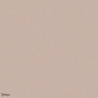 Peinture Light Peachblossom 3 Little Greene