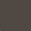 Little Greene Elysian Ground 320 verf behang van Little Greene