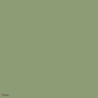 Little Greene Garden 86 paint